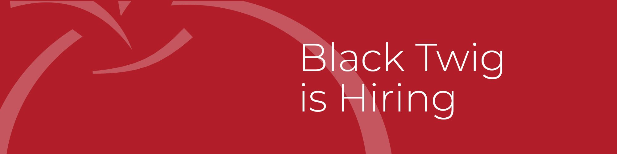 Senior Account Executive/Account Supervisor Black Twig Marketing